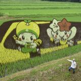 那須塩原にLRTの田んぼアート　農業中野さんが毎年制作　ミヤリー、はがまるくん、富士山も