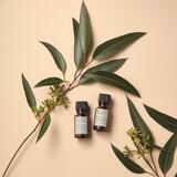 心落ち着かせ晴れやかに