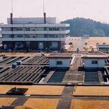 ８年ぶりの浄水場見学ツアー、図書館に特設コーナー…　宇都宮市、１日から各所で水道事業をPR