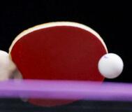 卓球日本は中国に敗れ準優勝