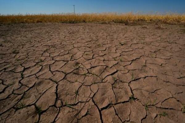 米カンザス州の畑で、干ばつの影響を受けた小麦と干上がった地面=5月16日(AP=共同)