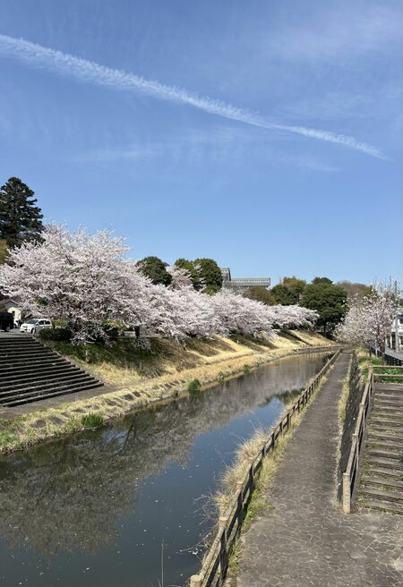 「空が青い」という描写を原稿用紙５０枚書くことができたら、その人は純文学向きだと、とある有名作家さんが言ってました。
