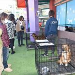 犬の殺処分ゼロへ　那須ハイランドパークとりんどう湖ファミリー牧場　月２…