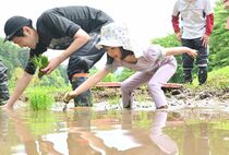 茂木・入郷石畑で棚田オーナーが田植え