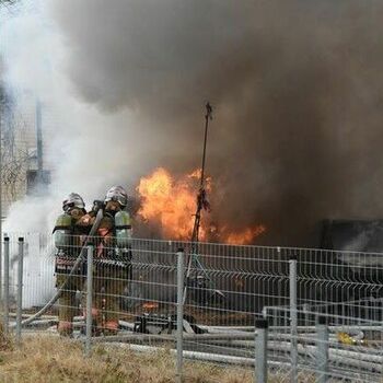 2025年も折り返し 下野新聞デジタル、上半期に読まれた記事で振り返り