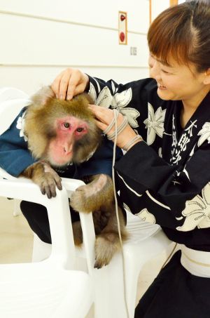 Interview 猿芸師 ゆりあさん｜Msとちぎ｜下野新聞デジタル