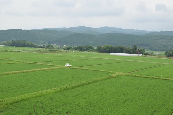 県内一の米どころ、大田原の田園風景