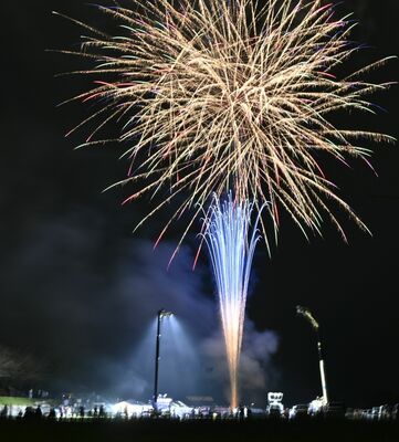 夜空を彩った花火