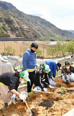 足尾銅山の煙害などで荒れた山の斜面に苗木を植える参加者＝23日午前10時５分、日光市足尾町