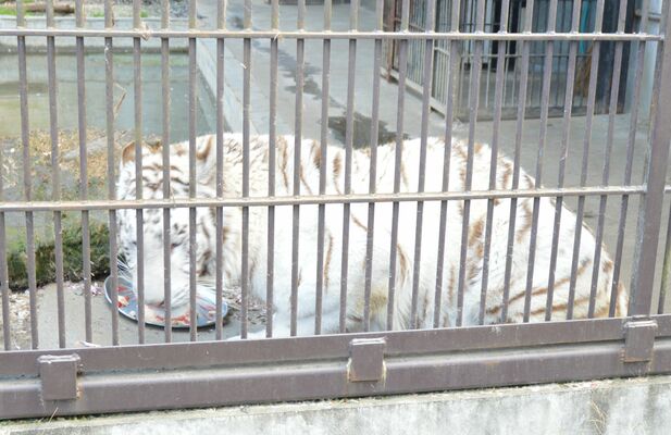 特製ケーキをほおばるイーサン