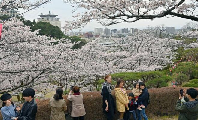 2023年の八幡山公園