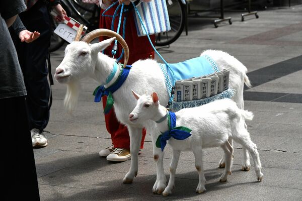 撮影に臨むウェーブ(左)とさとる