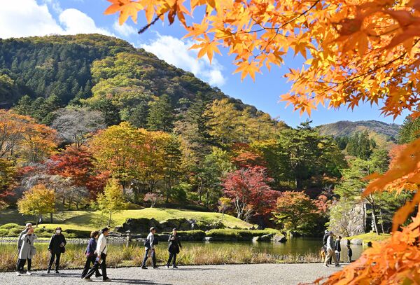 園内を鮮やかに彩る紅葉=11日正午、鹿沼市草久