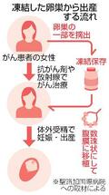 小児がんの女性、凍結卵巣で出産