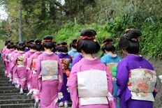 まるまげ祭り参加者募集中！