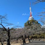 宇都宮・八幡山公園が注意喚起　ＳＮＳ上に無許可の「宝探し」イベント告知