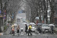宇都宮など県内各地で降雪
