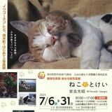 茂木・ふみの森でネコの写真展　動物写真家、岩合光昭さんの80作品　31日まで