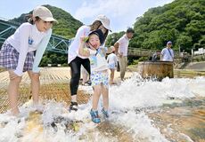 暑さ忘れる清流の涼