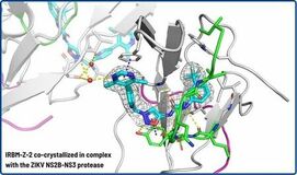 IRBM、ジカウイルス治療薬の発見において画期的な進展を報告