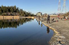 暖かい日、マス活発