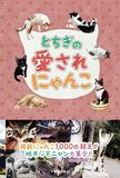 とちぎの愛されにゃんこ