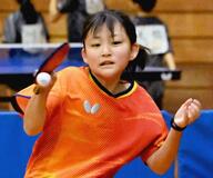 新名（清友ク）が県大会初制覇