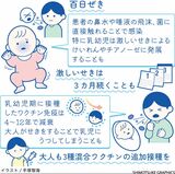 流行続く百日ぜき　激しいせき、長期間も　感染力強く注意が必…