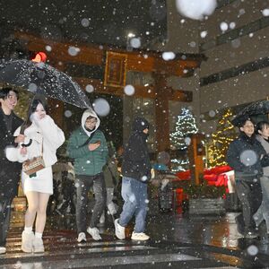 県内広範囲で降雪 宇都宮市中心部でも大粒の雪 奥日光では積雪8センチ