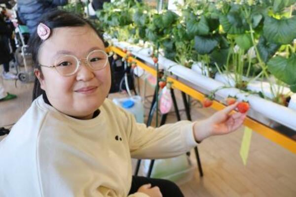 　イチゴを収穫する桐原乃愛さん＝１８日午後、福岡市