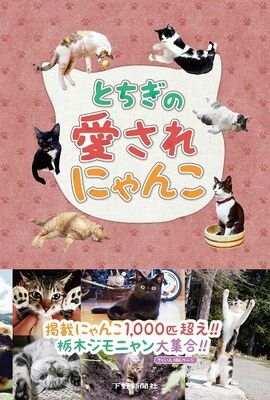 とちぎの愛されにゃんこ