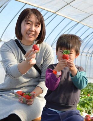 大粒のイチゴを満足そうに手に取る親子