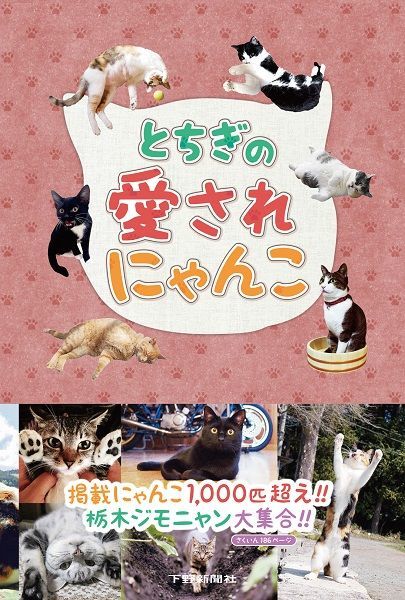 とちぎの愛されにゃんこ｜写真・アート｜下野新聞デジタル