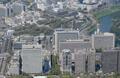 公務員女性採用、過去最高４１％