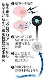 脳卒中回復、長期持続へ道