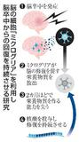 脳卒中回復、長期持続へ道