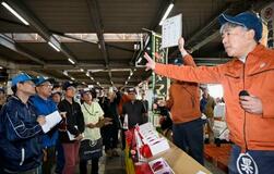 宮崎マンゴー、１箱５５万円