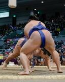 豊昇龍初黒星、安青錦は２敗目