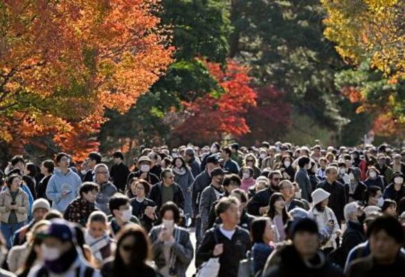 　皇居・乾通りの一般公開が始まり、紅葉を楽しむ人たち＝２９日午前