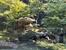 　六義園の滝見茶屋＝東京都文京区