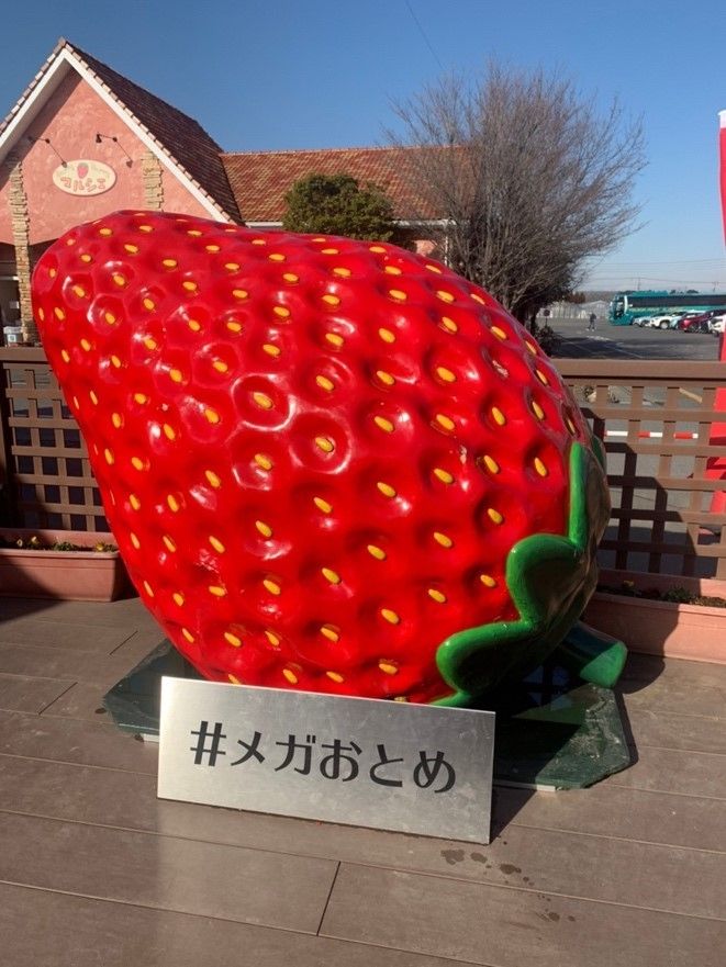 園内のオブジェ。まだここまでの大粒にはならないけど...＝いちごの里