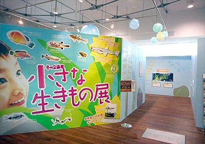 小さな生きもの展