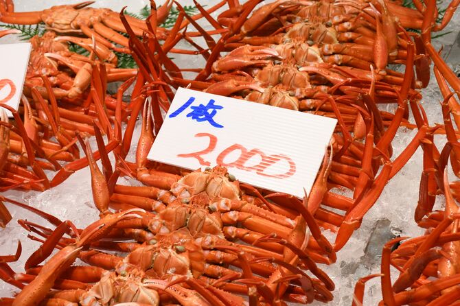 境港水産物センターに並んだカニ。値札には手書きで「１枚」の文字が