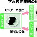 宇都宮市、下水汚泥を肥料登録へ　川田水再生センターで製造　海外依存から脱却、国産化に期待