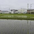 鹿沼の自然 プロに学ぼう 児童向け環境講座 7月開講 都内の先進企業が協力