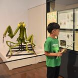多様な昆虫標本展示　那須野が原博物館で来月18日まで