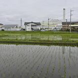 学ぼう鹿沼の自然　児童向け講座「田んぼラボ」、7月開講　都内のスタート…