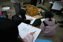 動物間近に観察、絵で表現