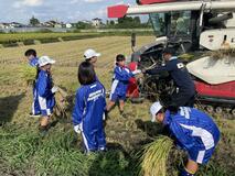 南押原中の生徒 稲刈りに汗流す