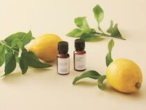 香りが心身に働きかけ